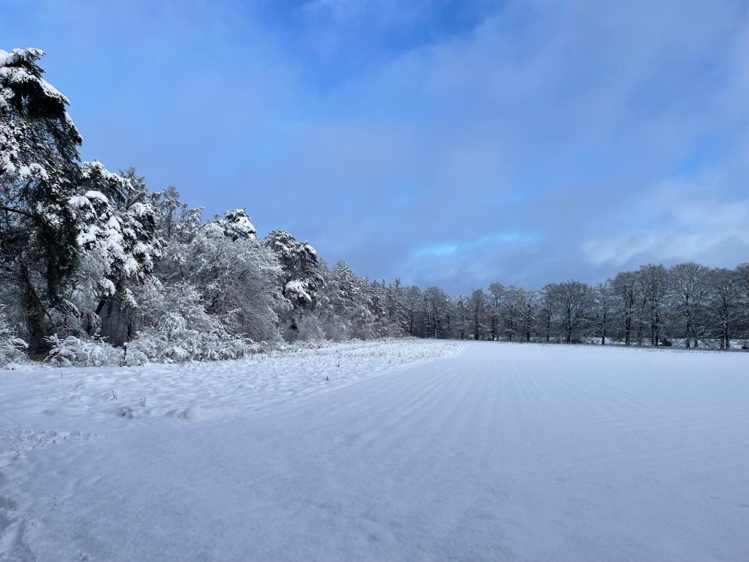 arbeidsrechtnieuws 2026